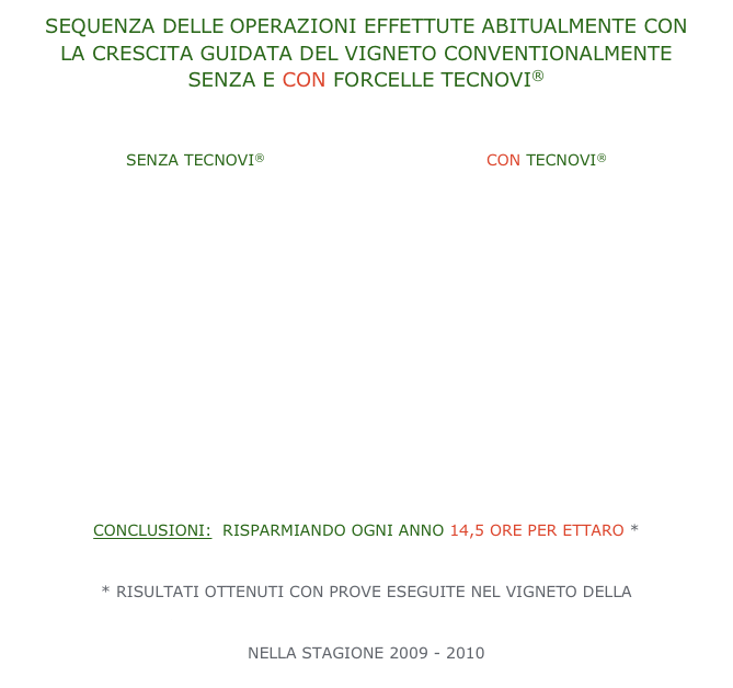 SEQUENZA DELLE OPERAZIONI EFFETTUTE ABITUALMENTE CON
LA CRESCITA GUIDATA DEL VIGNETO CONVENTIONALMENTE
SENZA E CON FORCELLE TECNOVI®


SENZA TECNOVI®                                CON TECNOVI®

















CONCLUSIONI:  RISPARMIANDO OGNI ANNO 14,5 ORE PER ETTARO *


* RISULTATI OTTENUTI CON PROVE ESEGUITE NEL VIGNETO DELLA
„BODEGA REMIREZ DE GANUZA“ EN SAMANIEGO,
RIOJA ALAVESA (ESPAGNA)
NELLA STAGIONE 2009 - 2010